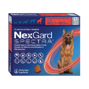 Nexgard Spectra 30,1 a 60 kilos